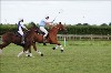 UKPA  NC Sat_1173